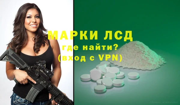 PSILOCYBIN Аркадак
