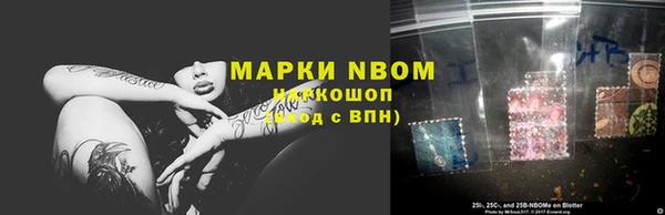 PSILOCYBIN Аркадак