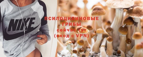 PSILOCYBIN Аркадак