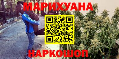 индика Малгобек