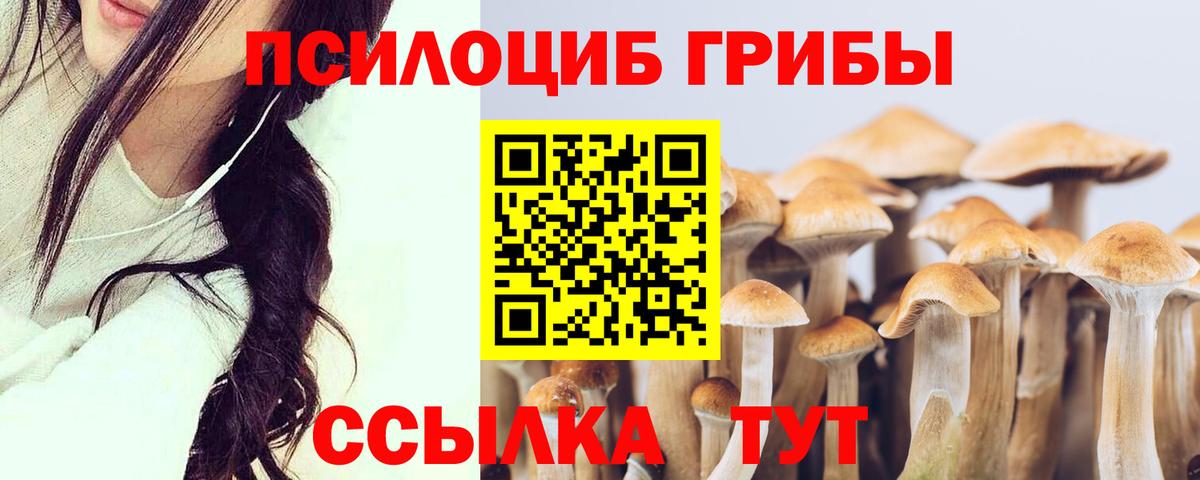 Ижевск  Галлюциногенные грибы GOLDEN TEACHER  Вход с VPN 